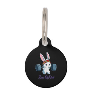 Médaillon Pour Animaux Cadeau de lapin Attractions de gymnastique sur le