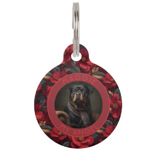 Médaillon Pour Animaux Cadeau mignon pour le propriétaire d'animaux Motif