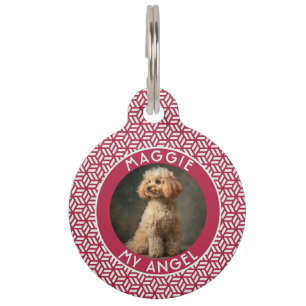 Médaillon Pour Animaux Cadeau pour amateur de chats mignons motif en nid