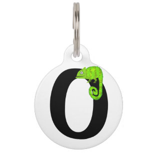 Médaillon Pour Animaux Caméléon vert mignon
