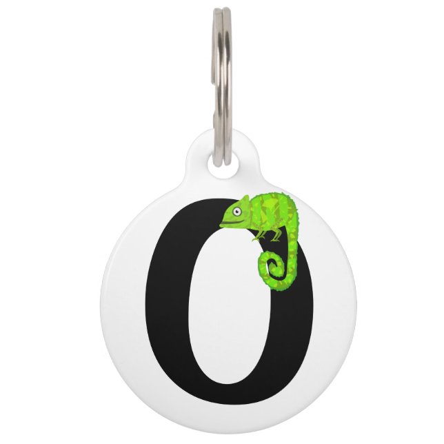 Médaillon Pour Animaux Caméléon vert mignon (Devant)
