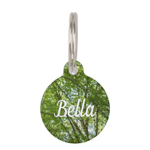 Médaillon Pour Animaux Canopée du printemps Feuille Green Nature Scene