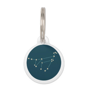 Médaillon Pour Animaux Capricorne Constellation