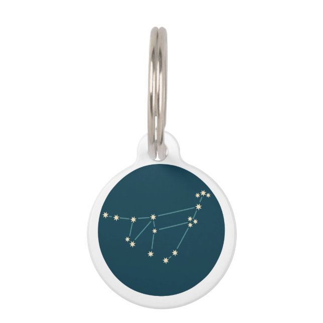 Médaillon Pour Animaux Capricorne Constellation (Devant)