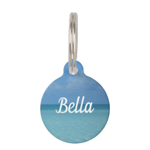 Médaillon Pour Animaux Caraïbes Horizon Tropical Turquoise Bleu