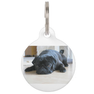 Médaillon Pour Animaux carlin noir plat