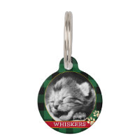 Carte Cat, Pawprint Green Buffalo Plaid, Kitten Ph