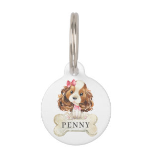 Médaillon Pour Animaux Cavalier King Charles Spaniel Chien Chien Chien Ch