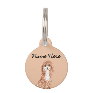 Médaillon Pour Animaux Cavapoo