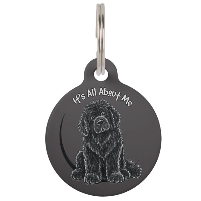 Médaillon Pour Animaux C'est tout sur moi (comme ça devrait être) (Devant)