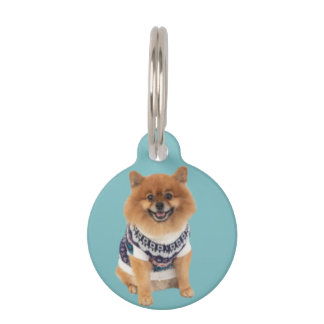 Médaillon Pour Animaux Chandail Poochie Dog |