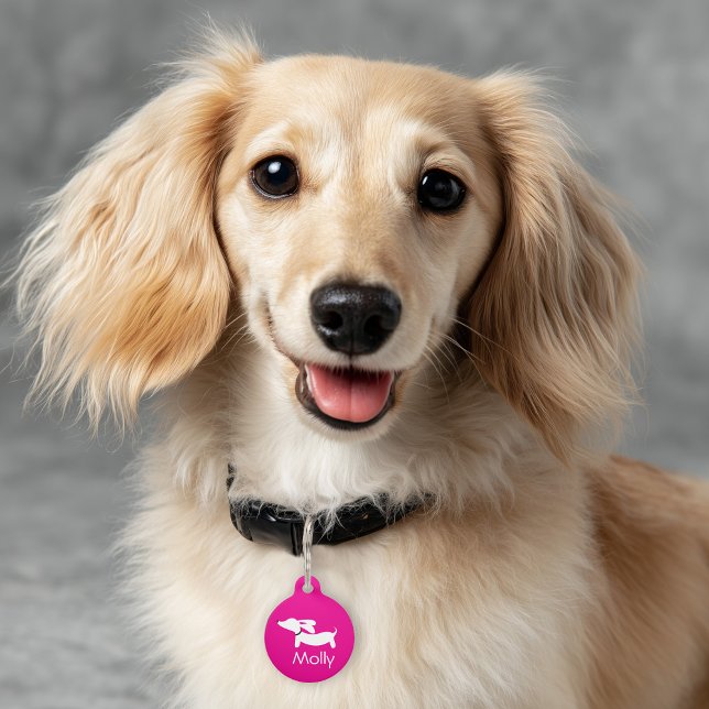 Médaillon Pour Animaux Charme Rose Personnalisé Nom Contact Teckel (Pink dachshund ID tag for wiener dogs)