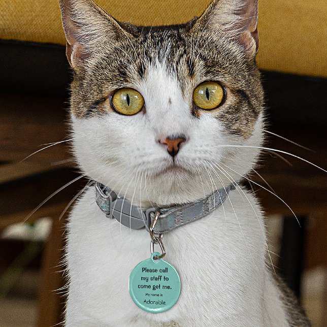 Médaillon Pour Animaux Chat, Kitten Balise perdue, Turquoise Petit 0,88" (Créateur téléchargé)