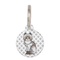 Chat persan bicolore lilas mignon & infos sur l'an