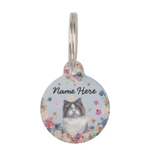 Médaillon Pour Animaux Chat Ragdoll Kitten aux yeux bleus