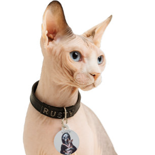 Médaillon Pour Animaux Chat Sphynx Sans Poils Alien Nom Personnalisé Étiq
