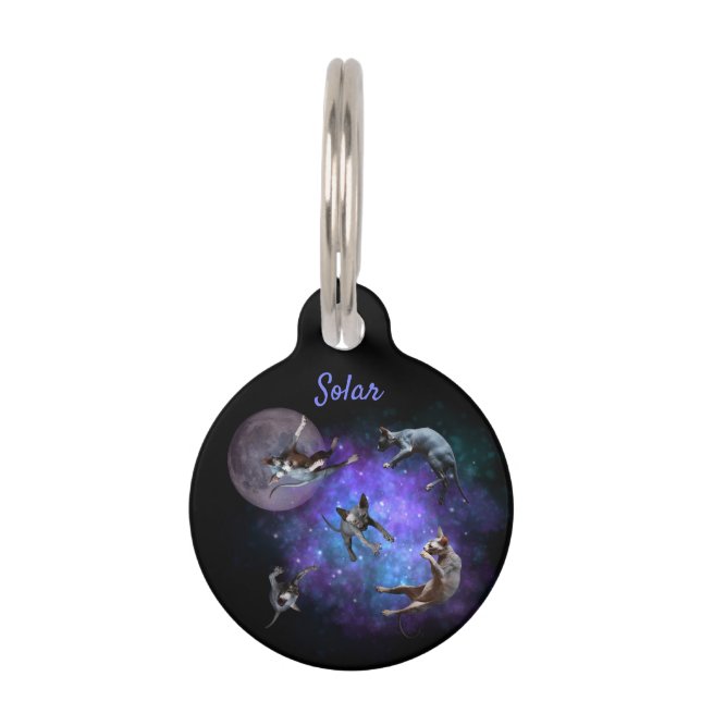 Médaillon Pour Animaux Chats Sphynx dans l'Espace Kittens Flottants (Devant)