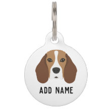 Chien beagle