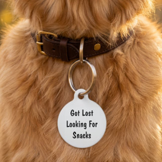 Médaillon Pour Animaux Chien Chat Animal de Compagnie Perdu Drôle Nom Per