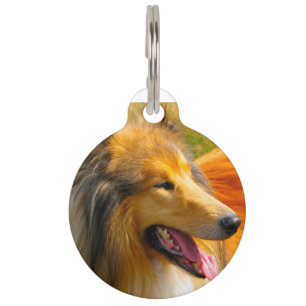 Médaillon Pour Animaux Chien Colley.