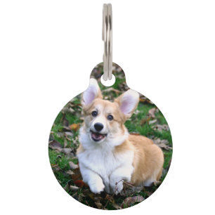 Médaillon Pour Animaux Chien Corgi mignon sautant