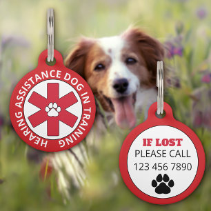 Médaillon Pour Animaux Chien d'assistance auditive rouge en formation