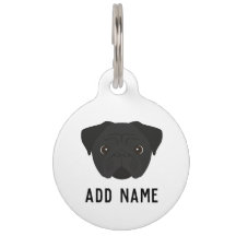 Chien de Carlin noir