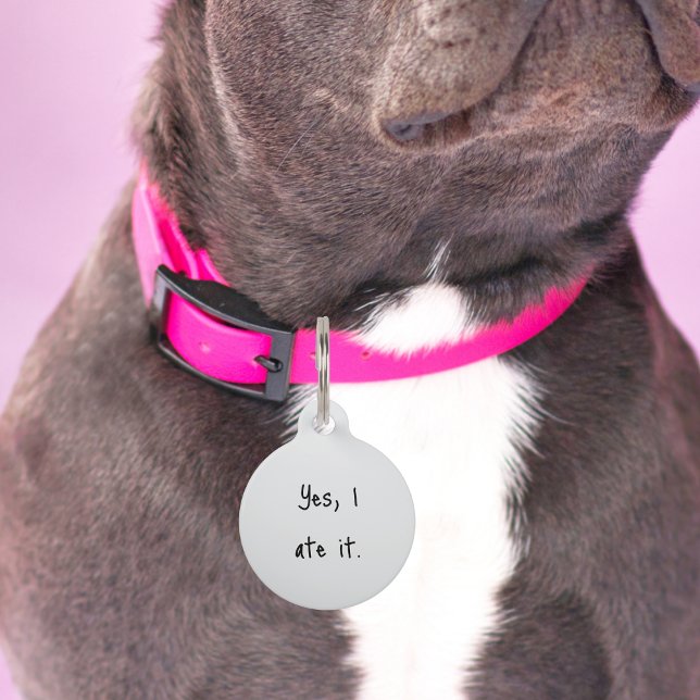 Médaillon Pour Animaux Chien de compagnie Chat "Oui, je l'ai mangé" Funny (Créateur téléchargé)