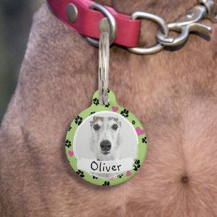 Médaillon Pour Animaux Chien de compagnie Photo personnalisée Nom Emprein