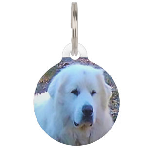 Médaillon Pour Animaux Chien de montagne des Pyrénées.