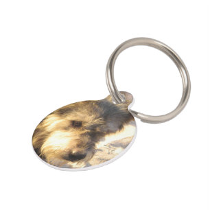 Médaillon Pour Animaux Chien de plage thaïlandais