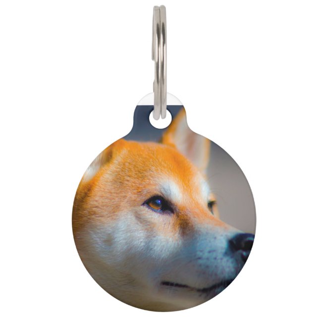 Médaillon Pour Animaux Chien de Shiba Inu. (Devant)