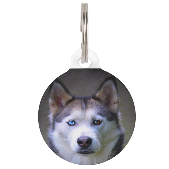 Médaillon Pour Animaux Chien Husky Sibérien. (Devant)