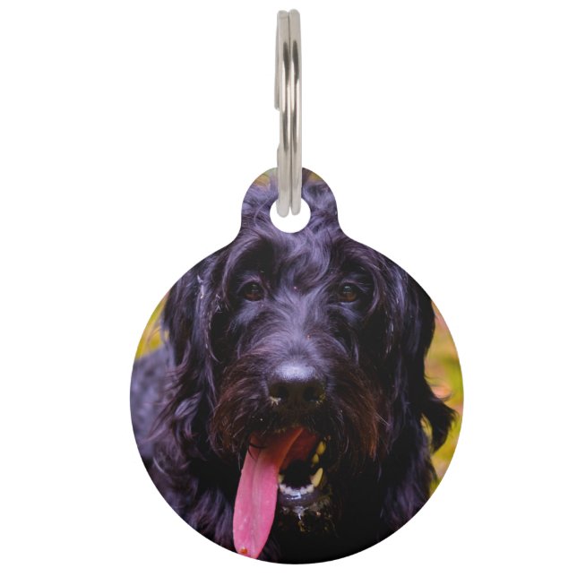 Médaillon Pour Animaux Chien Labradoodle. (Devant)