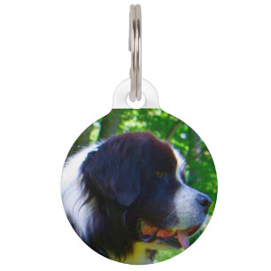 Médaillon Pour Animaux Chien Landseer.