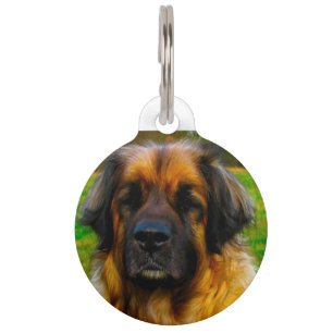 Médaillon Pour Animaux Chien Leonberger.