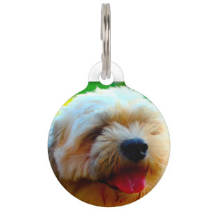 Médaillon Pour Animaux Chien Lhasa Apso.