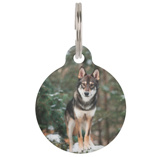 Médaillon Pour Animaux Chien-loup (Devant)