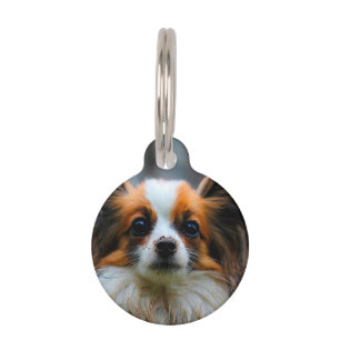 Médaillon Pour Animaux Chien Papillon.