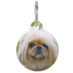 Médaillon Pour Animaux Chien Pékinois.