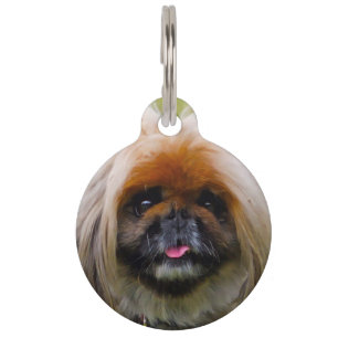 Médaillon Pour Animaux Chien Pékinois.