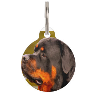 Médaillon Pour Animaux Chien Rottweiler