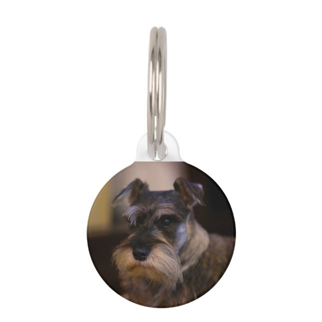 Médaillon Pour Animaux Chien Schnauzer (Devant)