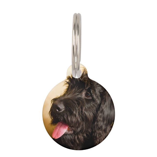 Médaillon Pour Animaux Chien Schnauzer (Devant)