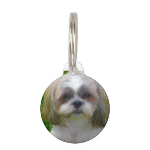 Médaillon Pour Animaux Chien Shih Tzu.