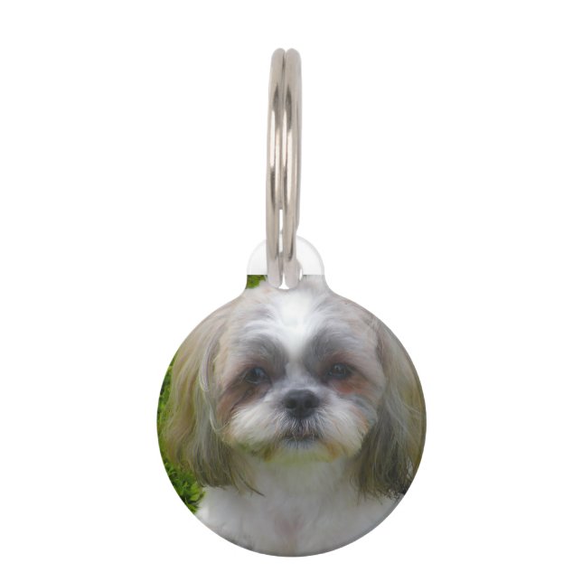Médaillon Pour Animaux Chien Shih Tzu. (Devant)