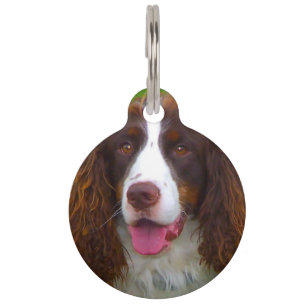 Médaillon Pour Animaux Chien Springer Spaniel.