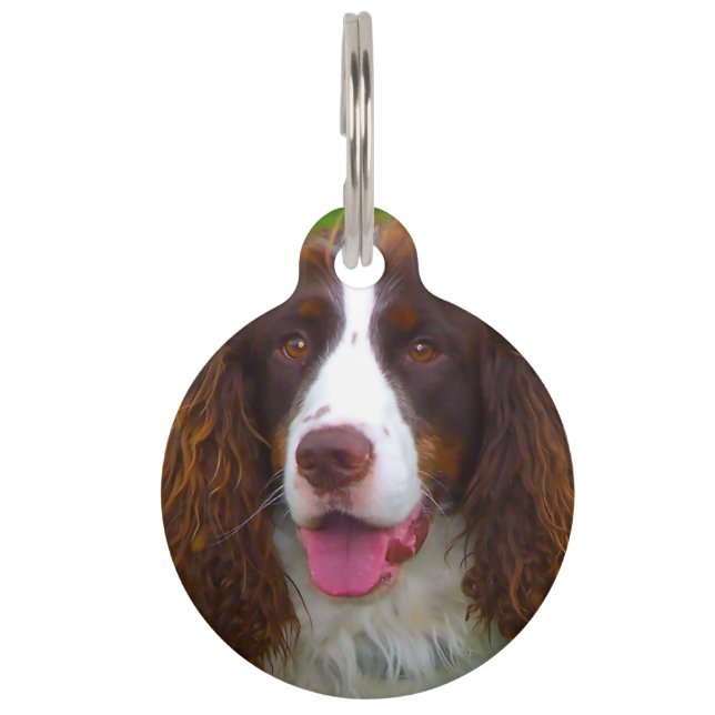 Médaillon Pour Animaux Chien Springer Spaniel. (Devant)