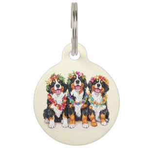 Médaillon Pour Animaux Chiens de montagne bernois d'Hawaï