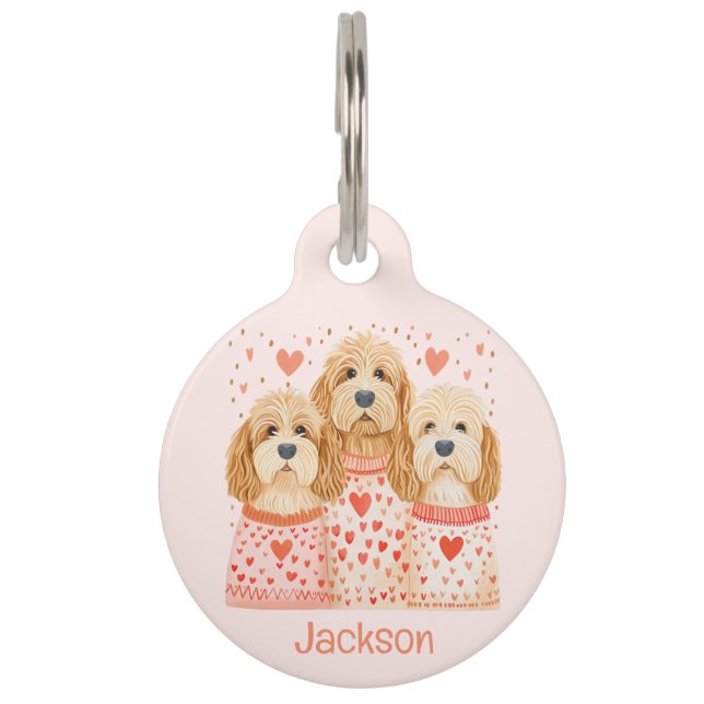 Médaillon Pour Animaux Chiens de Valentine Goldendoodle (Devant)